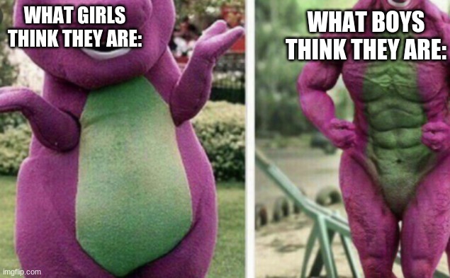 barney not so strong | WHAT BOYS THINK THEY ARE:; WHAT GIRLS THINK THEY ARE: | image tagged in barney not so strong | made w/ Imgflip meme maker