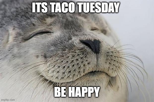 mmmmm tacos | ITS TACO TUESDAY; BE HAPPY | image tagged in memes,satisfied seal | made w/ Imgflip meme maker