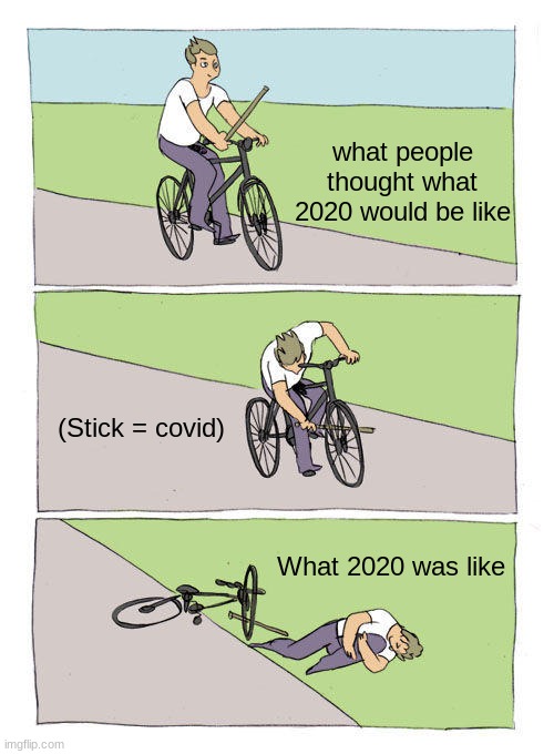 COOOOOOVID | what people thought what 2020 would be like; (Stick = covid); What 2020 was like | image tagged in memes,bike fall | made w/ Imgflip meme maker