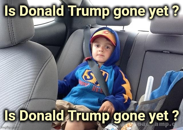 Like little kids in the backseat | Is Donald Trump gone yet ? Is Donald Trump gone yet ? | image tagged in backseat kid,ill just wait here,hurry up,get out,trump derangement syndrome | made w/ Imgflip meme maker