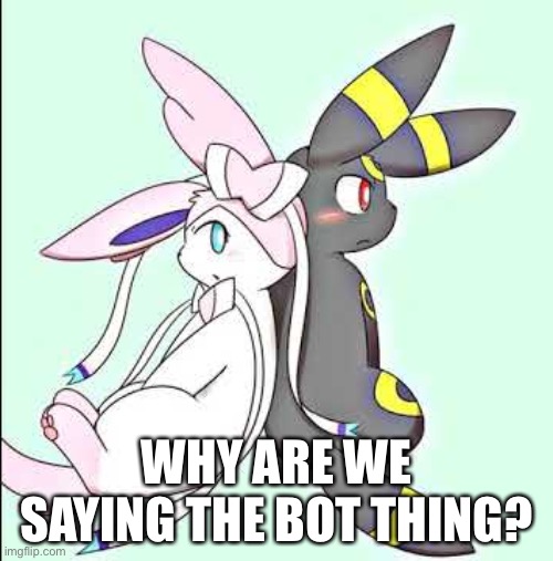 Sylveon and Umbreon | WHY ARE WE SAYING THE BOT THING? | image tagged in sylveon and umbreon | made w/ Imgflip meme maker