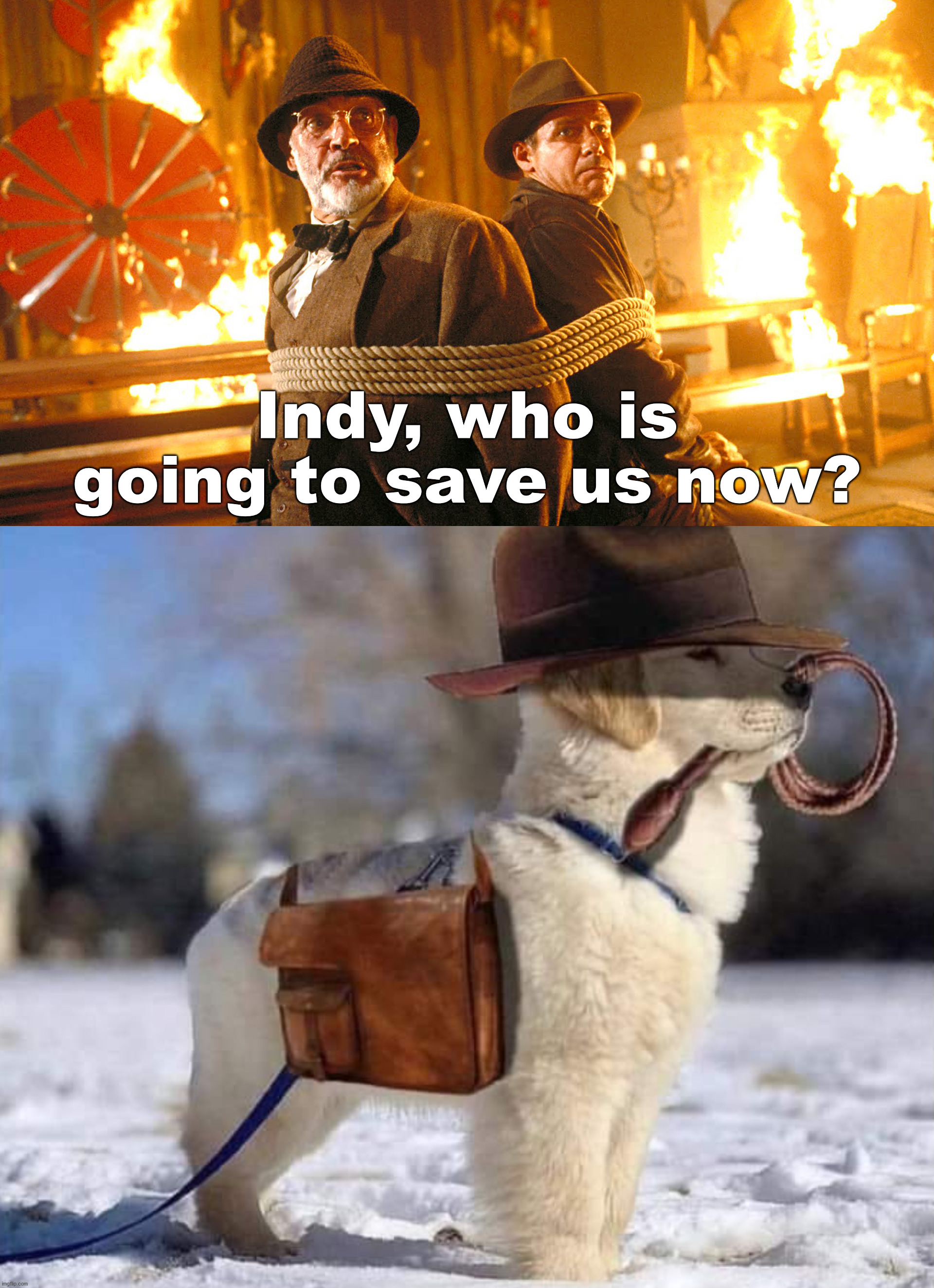 He is Indiana Bones. | Indy, who is going to save us now? | image tagged in indiana jones and dad,save me | made w/ Imgflip meme maker