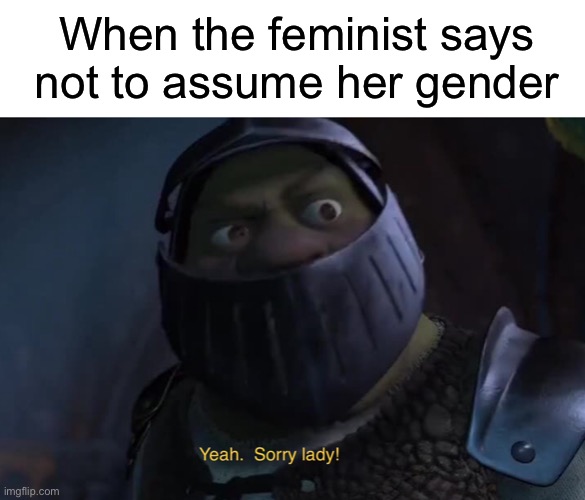 Imgflip | When the feminist says not to assume her gender | image tagged in blank white template,funny | made w/ Imgflip meme maker