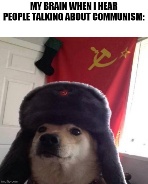 rusha | MY BRAIN WHEN I HEAR PEOPLE TALKING ABOUT COMMUNISM: | image tagged in russian doge,doge | made w/ Imgflip meme maker