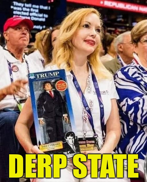 Like, ultimate Derp State | DERP STATE | image tagged in trump supporter with doll | made w/ Imgflip meme maker