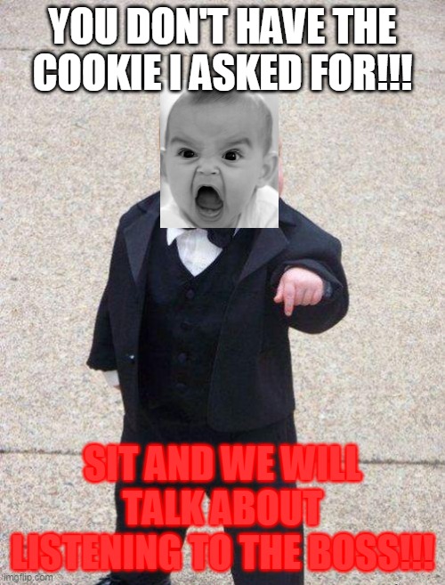 boss baby | YOU DON'T HAVE THE COOKIE I ASKED FOR!!! SIT AND WE WILL TALK ABOUT LISTENING TO THE BOSS!!! | image tagged in boss baby | made w/ Imgflip meme maker