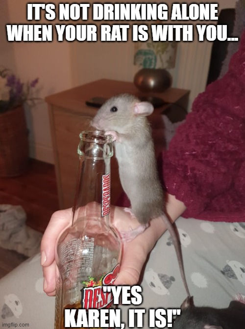 Drinking alone | IT'S NOT DRINKING ALONE WHEN YOUR RAT IS WITH YOU... "YES KAREN, IT IS!" | image tagged in rachael longstaff | made w/ Imgflip meme maker