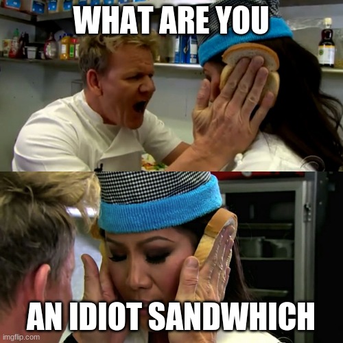 Gordon Ramsay Idiot Sandwich | WHAT ARE YOU AN IDIOT SANDWHICH | image tagged in gordon ramsay idiot sandwich | made w/ Imgflip meme maker