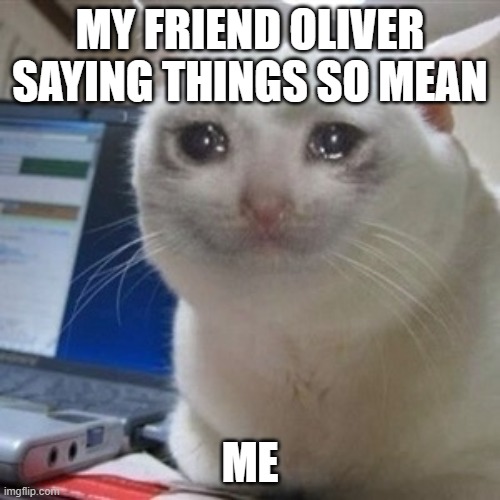 TnT | MY FRIEND OLIVER SAYING THINGS SO MEAN; ME | image tagged in crying cat | made w/ Imgflip meme maker