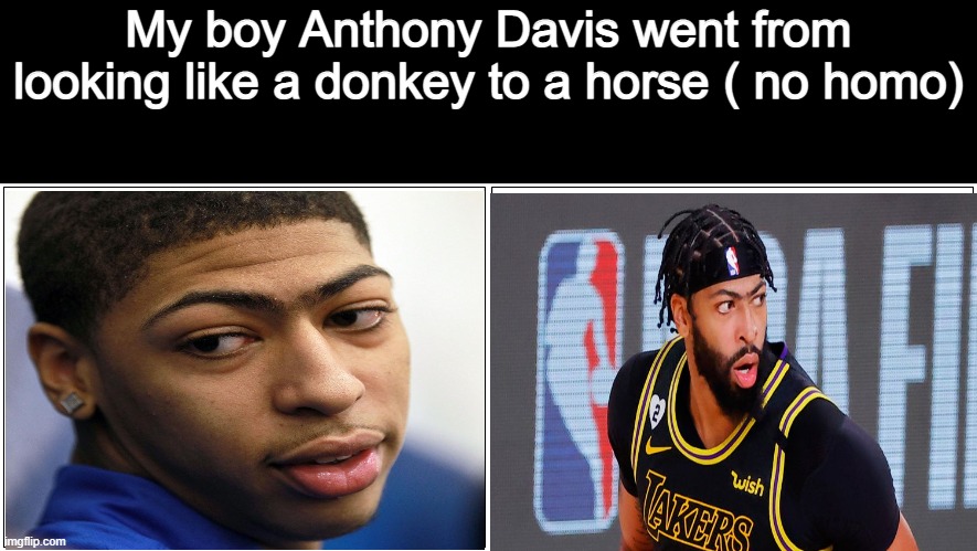 He kinda look the same just got the first pic i could find | My boy Anthony Davis went from looking like a donkey to a horse ( no homo) | image tagged in memes,blank comic panel 2x1 | made w/ Imgflip meme maker