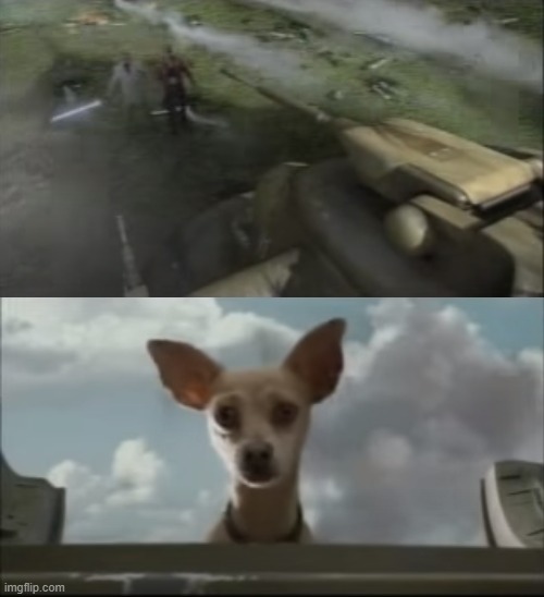 hey look at what i found blank | image tagged in taco bell,dog,tank | made w/ Imgflip meme maker