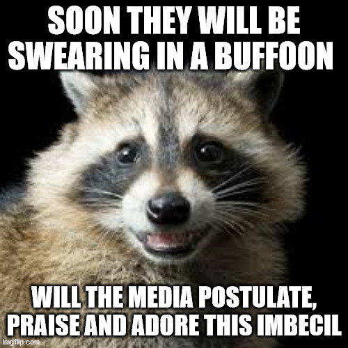Biden Racoon | SOON THEY WILL BE SWEARING IN A BUFFOON; WILL THE MEDIA POSTULATE, PRAISE AND ADORE THIS IMBECIL | image tagged in imbecil,buffoon,biden | made w/ Imgflip meme maker