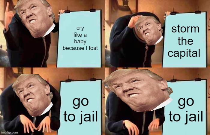 Gru's Plan | cry like a baby because I lost; storm the capital; go to jail; go to jail | image tagged in memes,gru's plan | made w/ Imgflip meme maker