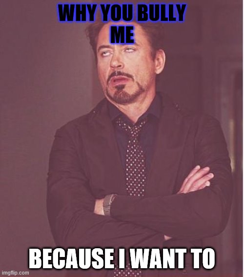 Face You Make Robert Downey Jr Meme | WHY YOU BULLY
ME; BECAUSE I WANT TO | image tagged in memes,face you make robert downey jr | made w/ Imgflip meme maker