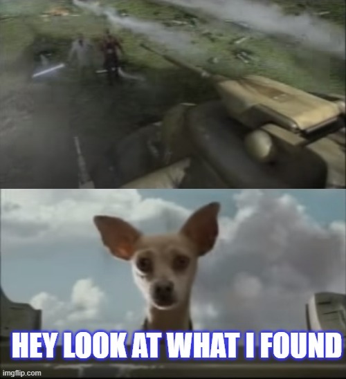 hey look at what i found | image tagged in taco bell,dog,tank | made w/ Imgflip meme maker