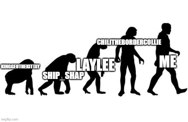 Human Evolution | KINGGEOTHEKITTAY SHIP_SHAP LAYLEE CHILITHEBORDERCOLLIE ME | image tagged in human evolution | made w/ Imgflip meme maker