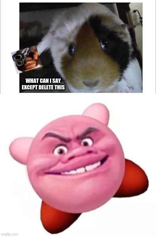 what can i say except delete this | WHAT CAN I SAY EXCEPT DELETE THIS | image tagged in white background,what can i say except delete this,guinea pig,intimidating nugget | made w/ Imgflip meme maker