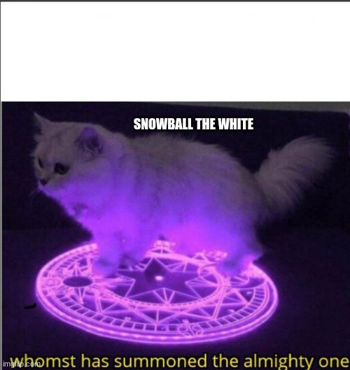 Summoning memes | SNOWBALL THE WHITE | image tagged in who has summoned the almighty one | made w/ Imgflip meme maker
