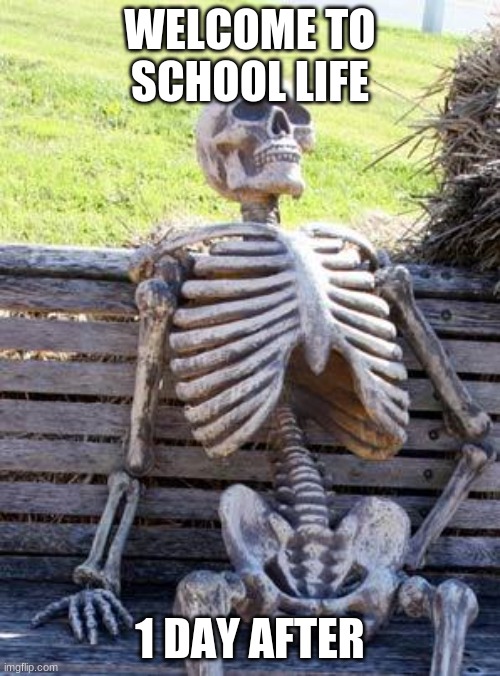 Waiting Skeleton Meme | WELCOME TO SCHOOL LIFE; 1 DAY AFTER | image tagged in memes,waiting skeleton | made w/ Imgflip meme maker