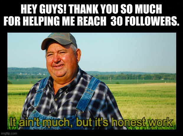 YES! | HEY GUYS! THANK YOU SO MUCH FOR HELPING ME REACH  30 FOLLOWERS. | image tagged in followers,imgflip | made w/ Imgflip meme maker