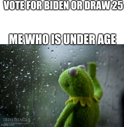 sadness | VOTE FOR BIDEN OR DRAW 25; ME WHO IS UNDER AGE | image tagged in kermit window,polotics,vote for biden | made w/ Imgflip meme maker