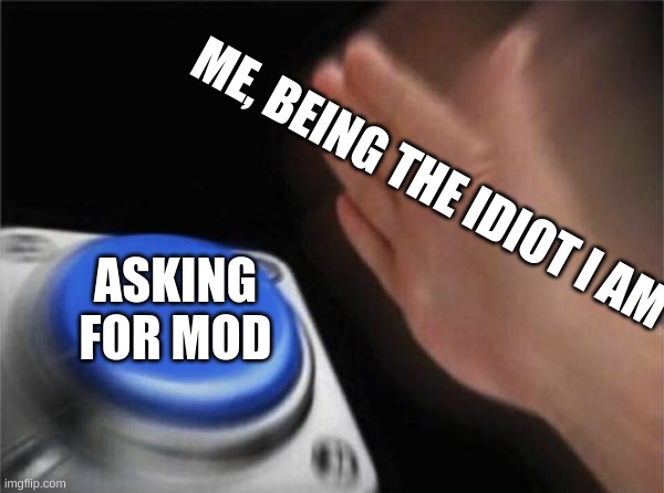 Blank Nut Button | ME, BEING THE IDIOT I AM; ASKING FOR MOD | image tagged in memes,blank nut button | made w/ Imgflip meme maker