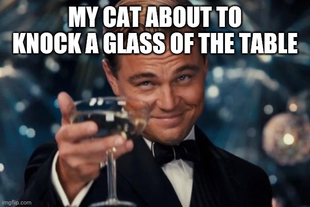 Just for giggles | MY CAT ABOUT TO KNOCK A GLASS OF THE TABLE | image tagged in memes,leonardo dicaprio cheers | made w/ Imgflip meme maker