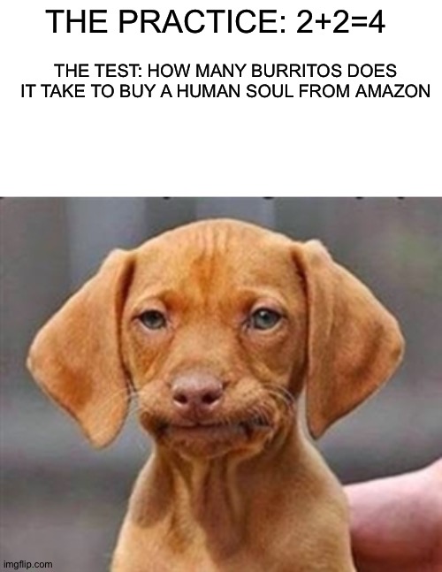 THE PRACTICE: 2+2=4; THE TEST: HOW MANY BURRITOS DOES IT TAKE TO BUY A HUMAN SOUL FROM AMAZON | image tagged in blank white template,frustrated dog | made w/ Imgflip meme maker