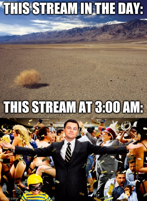 THIS STREAM IN THE DAY:; THIS STREAM AT 3:00 AM: | image tagged in desert tumbleweed,wolf party | made w/ Imgflip meme maker