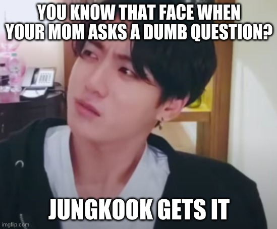 YOU KNOW THAT FACE WHEN YOUR MOM ASKS A DUMB QUESTION? JUNGKOOK GETS IT | image tagged in bts | made w/ Imgflip meme maker