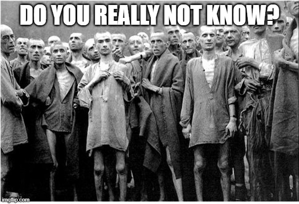 Holocaust  | DO YOU REALLY NOT KNOW? | image tagged in holocaust | made w/ Imgflip meme maker