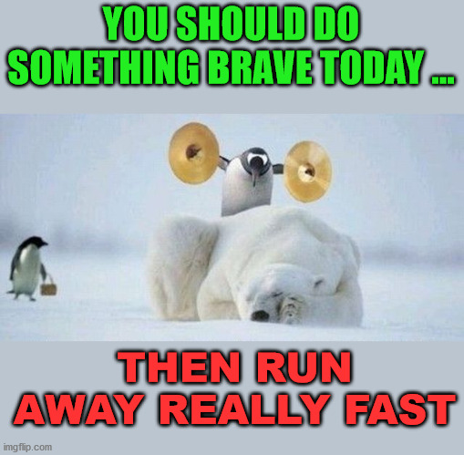 YOU SHOULD DO SOMETHING BRAVE TODAY ... THEN RUN AWAY REALLY FAST | image tagged in brave | made w/ Imgflip meme maker