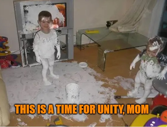 A time for unity | THIS IS A TIME FOR UNITY, MOM | image tagged in trump,republicans,capitol riot | made w/ Imgflip meme maker