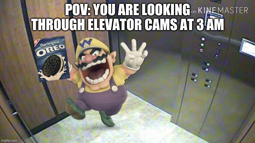 oh ok | POV: YOU ARE LOOKING THROUGH ELEVATOR CAMS AT 3 AM | image tagged in memes,funny,wario,oreo,elevator,oh boy 3 am | made w/ Imgflip meme maker