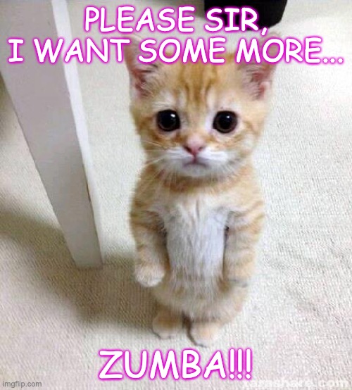 More Zumba please | PLEASE SIR, I WANT SOME MORE... ZUMBA!!! | image tagged in memes,cute cat,zumba | made w/ Imgflip meme maker