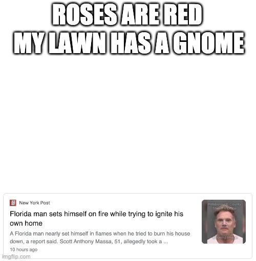 ok | ROSES ARE RED; MY LAWN HAS A GNOME | image tagged in blank white template,florida,florida man,roses are red,roses are red violets are are blue,fire | made w/ Imgflip meme maker