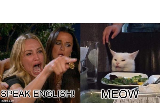 Woman Yelling At Cat | SPEAK ENGLISH! MEOW | image tagged in memes,woman yelling at cat | made w/ Imgflip meme maker