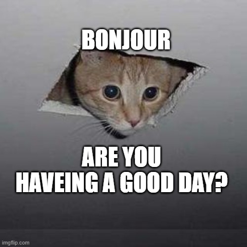 Ceiling Cat Meme | BONJOUR; ARE YOU HAVEING A GOOD DAY? | image tagged in memes,ceiling cat | made w/ Imgflip meme maker