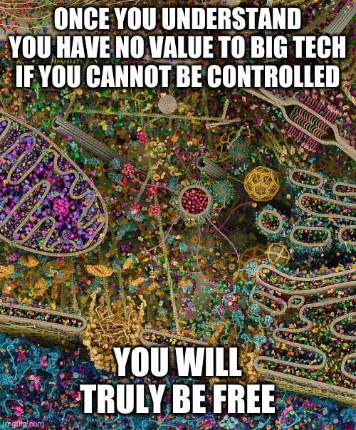 It's All About Control | ONCE YOU UNDERSTAND YOU HAVE NO VALUE TO BIG TECH IF YOU CANNOT BE CONTROLLED; YOU WILL TRULY BE FREE | image tagged in brain cell,brainwashing,brainwashed | made w/ Imgflip meme maker