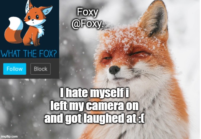 I want to die rn | I hate myself i left my camera on and got laughed at :( | image tagged in foxy's announcement template | made w/ Imgflip meme maker