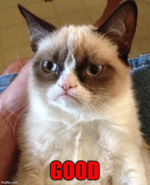 Grumpy Cat Meme | GOOD | image tagged in memes,grumpy cat | made w/ Imgflip meme maker