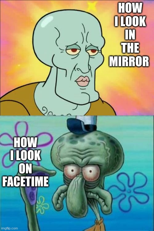 relatable | HOW I LOOK IN THE MIRROR; HOW I LOOK ON FACETIME | image tagged in memes,squidward | made w/ Imgflip meme maker