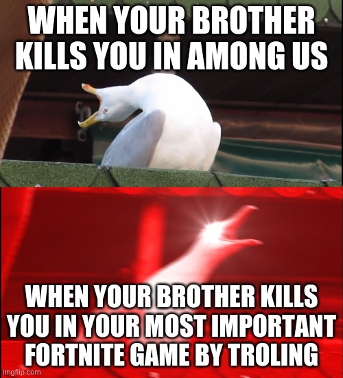 Screaming bird | WHEN YOUR BROTHER KILLS YOU IN AMONG US; WHEN YOUR BROTHER KILLS YOU IN YOUR MOST IMPORTANT FORTNITE GAME BY TROLING | image tagged in screaming bird | made w/ Imgflip meme maker