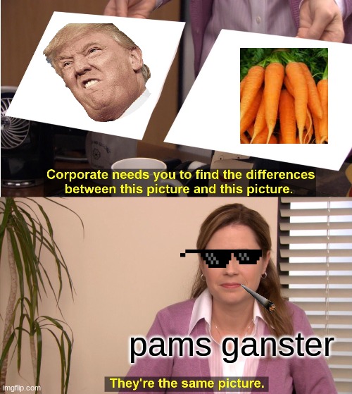 They're The Same Picture | pams ganster | image tagged in memes,they're the same picture | made w/ Imgflip meme maker
