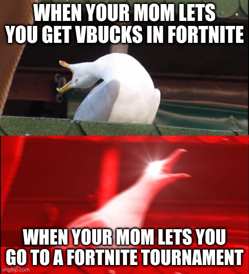 Screaming bird | WHEN YOUR MOM LETS YOU GET VBUCKS IN FORTNITE; WHEN YOUR MOM LETS YOU GO TO A FORTNITE TOURNAMENT | image tagged in screaming bird | made w/ Imgflip meme maker