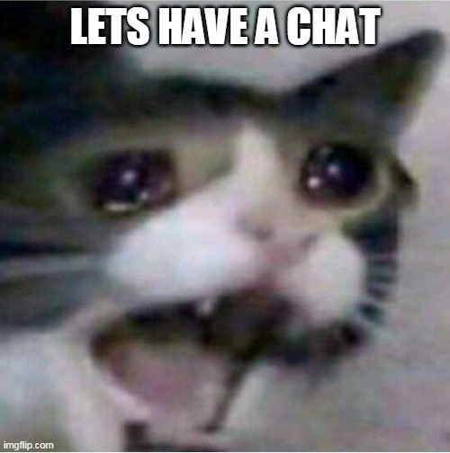 crying cat | LETS HAVE A CHAT | image tagged in crying cat | made w/ Imgflip meme maker