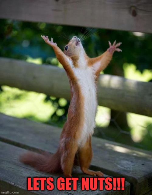 Happy Squirrel | LETS GET NUTS!!! | image tagged in happy squirrel | made w/ Imgflip meme maker