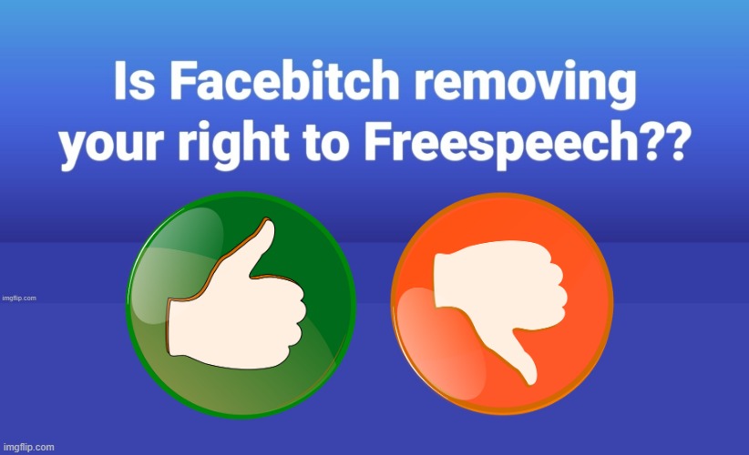 Facebitch | image tagged in free speech | made w/ Imgflip meme maker