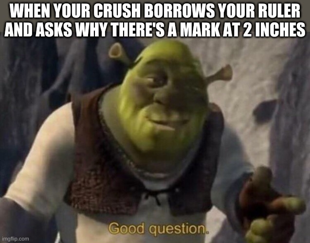 Shrek good question | WHEN YOUR CRUSH BORROWS YOUR RULER AND ASKS WHY THERE'S A MARK AT 2 INCHES | image tagged in shrek good question | made w/ Imgflip meme maker