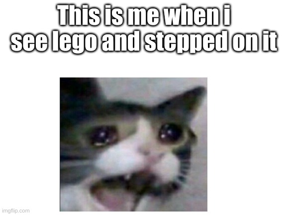 i hate lego | This is me when i see lego and stepped on it | image tagged in lego | made w/ Imgflip meme maker